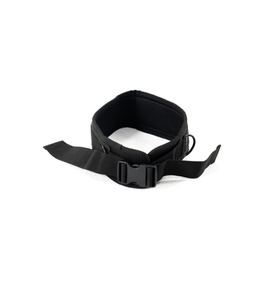 Exercise Belt