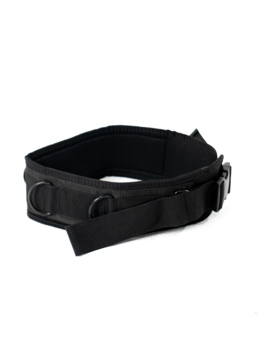 Training Belt